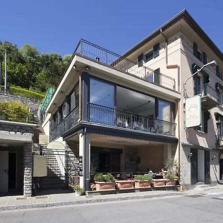 Orso Bruno Carate Urio