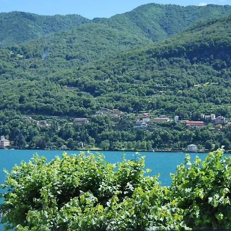 Hotel Orso Bruno