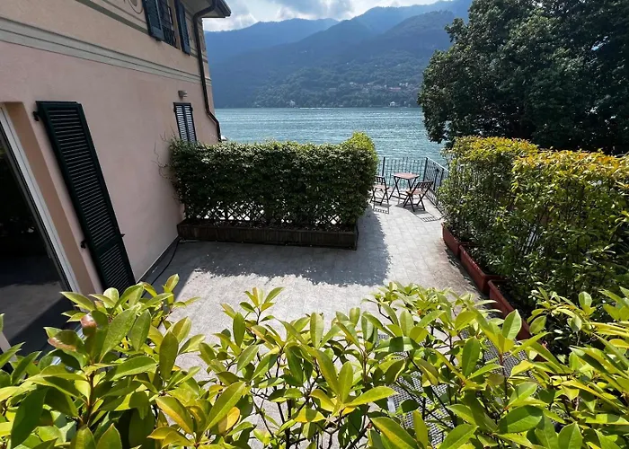 Orso Bruno Carate Urio