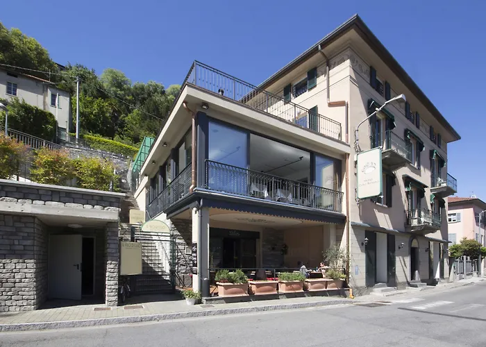 Orso Bruno Carate Urio